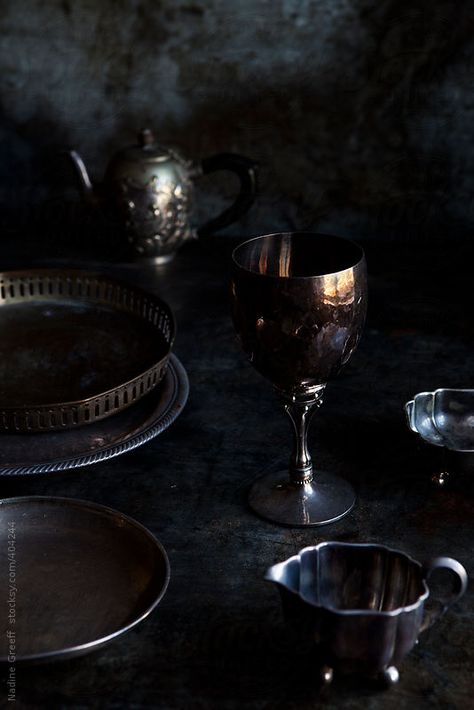 Goblet Aesthetic, Silver Plate Decor, Photographer Illustration, Deep Winter Colors, Dark Food Photography, Moody Decor, Food Art Photography, Halloween Dinner, Deep Winter