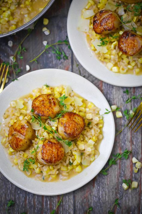 Seared Scallops with Fresh Corn Risotto Corn Risotto, Coquille St Jacques, Parmesan Risotto, Pan Seared Scallops, Seared Scallops, Shellfish Recipes, Scallop Recipes, Summer Corn, Risotto Recipes