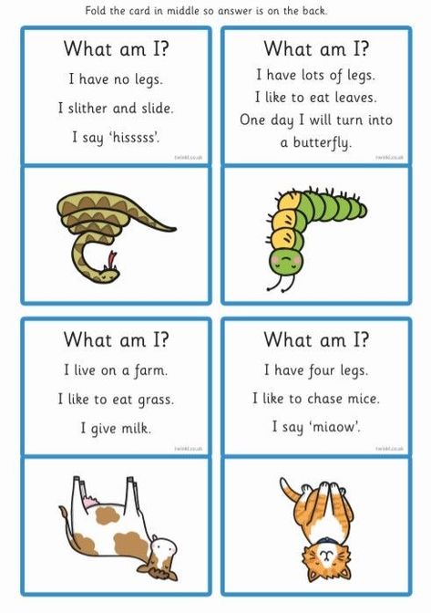 What Animal Am I, Guess The Word Game, English Games For Kids, Animal Quiz, Esl Games, English Activities For Kids, Fun Classroom Activities, Learning English For Kids, English Games