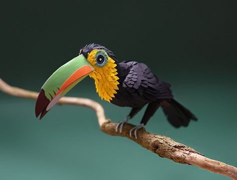 Paper Toucan on Behance Toucan Craft, Vbs Jungle, Paper Art Sculpture, Paper Birds, Paper Animals, Paper Cut Art, Paper Artist, Paper Sculpture, Travel And Tourism