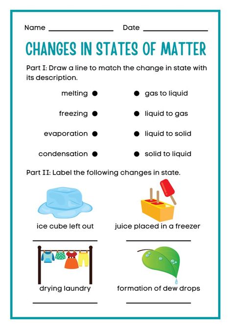 Matter Science Activities, Sense Organs Worksheets, Science Kindergarten Worksheets, Data Driven Instruction, Free Science Worksheets, Sense Organs, States Of Matter Worksheet, Weather Worksheets, Animal Research