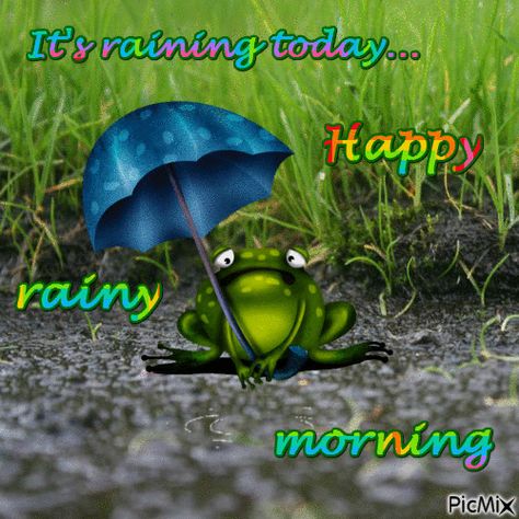 Good Rainy Morning, Rainy Morning Quotes, Morning Rainy Day, Rainy Day Images, Rainy Good Morning, Good Morning Rainy Day, Rainy Day Quotes, Thinking Of You Quotes, Rainy Morning