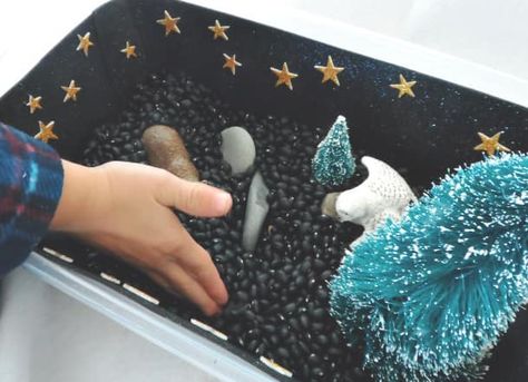 Animals Sensory Bin, Black Beluga Lentils, October Lesson Plans, Sensory Bin Play, October Lessons, Preschool Sensory, Darkness Falls, Sensory Table, Nocturnal Animals