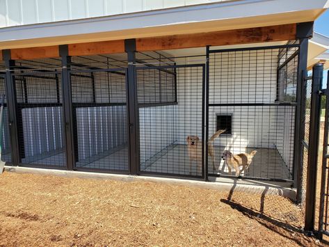 3 Dog Kennel Ideas Outdoor, Garage Kennels For Dogs, Outdoor Dog Kennel Ideas Sheds, Kennel Boarding Ideas, Inside Outside Dog Kennel, Barndominium Dog Kennel, Shed Dog Kennel Ideas, Hunting Dog Kennel Ideas, Indoor Outdoor Dog Kennel Ideas