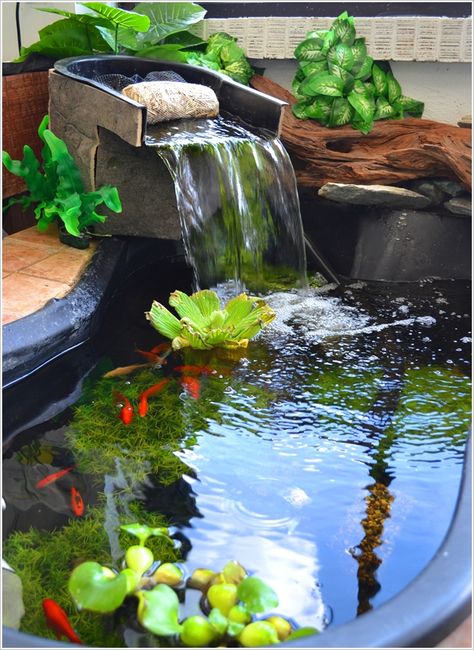 A Stunning Pond Aquarium Outdoor Fish Ponds, Small Fish Pond, Indoor Pond, Koi Pond Design, Kolam Koi, Fish Pond Gardens, Taman Air, Outdoor Ponds, Diy Pond