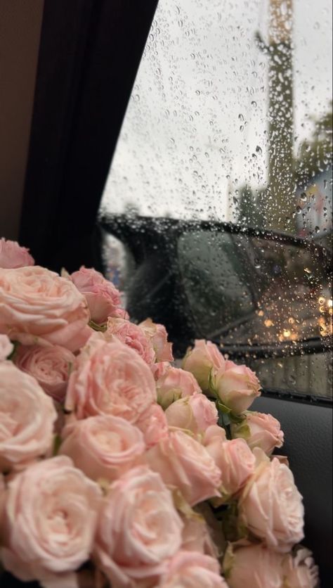 Rainy Day, Pink Roses, Roses, Flowers, Pink, Instagram