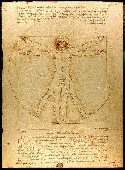 The Vitruvian Man - by Leonardo da Vinci Davinci Code, Da Vinci Vitruvian Man, Istoria Artei, Vitruvian Man, Amedeo Modigliani, Marie Curie, Last Supper, Caravaggio, Curriculum Vitae