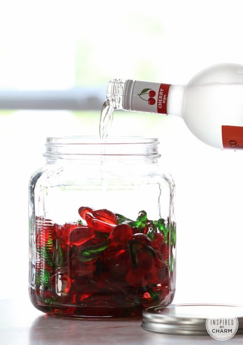 Seriously, Rummy Bears are one of the coolest things I heard today. And I am so making some. - via Drinks and Links: Rummy Cherries. Rummy Bears, Candy Alcohol, Alcohol Gummy Bears, Gummi Candy, Memorial Day Party, Inspired By Charm, Party Tips, Adult Drinks, Party Drinks