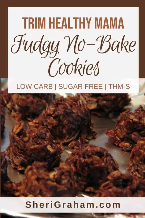 Trim Healthy Mama Recipe, Trim Healthy Mama Dessert, Trim Healthy Recipes, Trim Healthy Mama Plan, Trim Healthy Momma, Trim Healthy Mama Recipes, Thm Desserts, Mama Recipe, Recipes Cookies