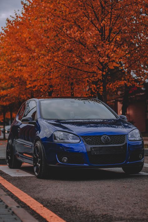 Vw Golf Wallpaper, Golf 5 Gti, Mk5 Golf, Vw Golf 5, Autumn Blue, Jetta Mk5, Golf Style, Golf Mk5, Golf 5