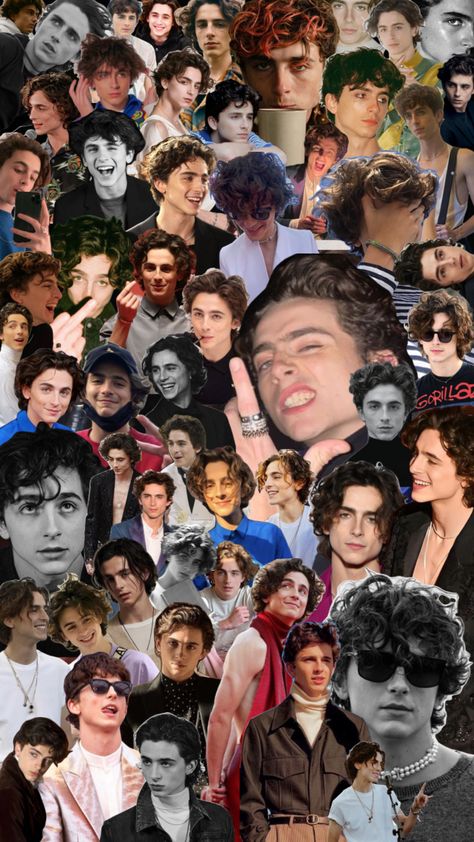 #timotheechalamet #timothee #edit #timotheechalametedit #montage #liltimmytim Regulus Acturus Black, Attack On Titan Jean, Paul Atreides, Images Harry Potter, Timmy T, The Perfect Guy, Hottest Guy Ever, Hot Actors, Cute Actors