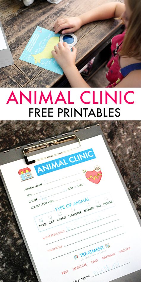 Vet Pretend Play, Kids Vet Clinic, Create Your Own Animal, Fun Activity For Kids, Animal Clinic, Dramatic Play Centers, A Vet, Pet Vet, Vet Clinics