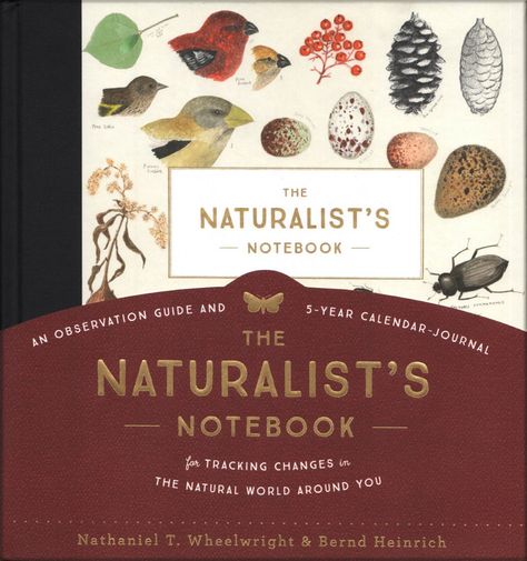 New book encourages you to record your own observations of nature - Portland Press Herald Polar Bear Cafe, 5 Year Journal, Nature Notebook, Burgundy Ribbon, Calendar Journal, The Natural World, Ribbon Bookmarks, Nature Journal, Foil Stamping