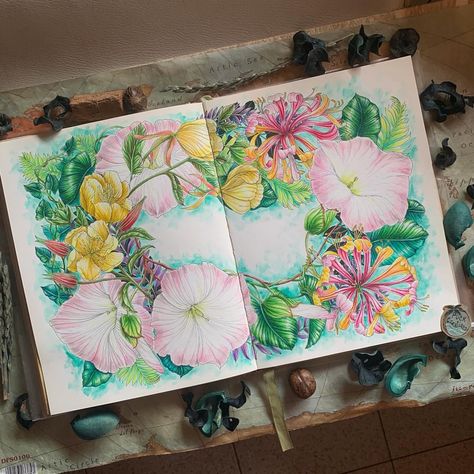 Puck Creations | August Mix, done!🌿🌻🌾Large-Flowered Evening Primrose, Hedge Bindweed and Honeysuckle. From The Flower Year by Leila Duly. I used… | Instagram Leila Duly, Derwent Inktense, Faber Castell Polychromos, Evening Primrose, Color Pencil Drawing, Photo Reference, Real Flowers, Textile Prints, Adult Coloring Books