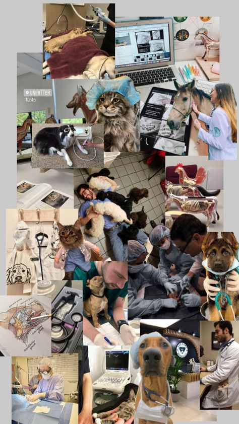 How To Study In Vet School, Vet Athstetic, Veterinarian Vision Board, Veterinarian Aesthetic, Vet Pictures, Vet School Motivation, Vet Tech School, Veterinary Tech, Vet Life