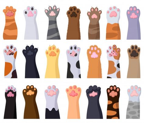 Cat Paw, Cat Paw Art, Animal Paws Illustration, Cat Paw Illustration, Paw Illustration, Dog Walking Flyer, Purebred Cats, Pet Cemetery, Cat Vector