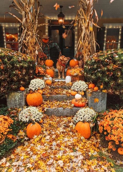 fall doorstep Outside Fall Decor, Dog Pumpkin, Disneyland Halloween, New England Fall, Fall Inspo, Autumn Scenery, Fall Halloween Decor, Wallpapers Iphone, Fall Porch