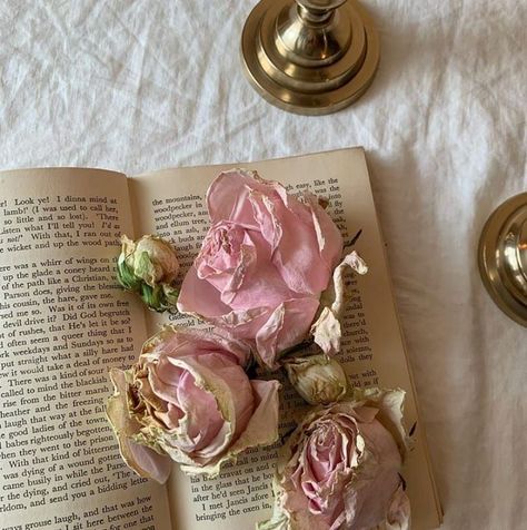 penelope featherington | aesthetic | bridgerton romancing mr. bridgerton Featherington Aesthetic, Romantic Academia Aesthetic, Penelope Featherington, Romantic Academia, Spilled Coffee, Rose Pastel, Academia Aesthetic, Light Academia, Pink Princess