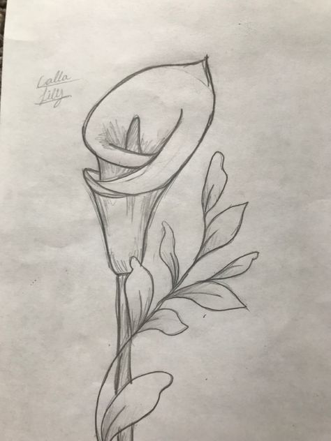 Sketching Ideas Flowers, Flower Sketches Aesthetic, Drawings Of A Flower, Easy Art Designs To Draw, Things To Draw Flowers, Drawing Ideas Plants, Pencil Drawing Flowers, Drawing Ideas Flowers Pencil, Drawing Ideas Flowers Easy