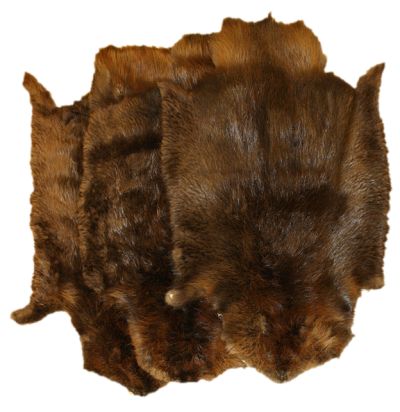 BEAVER PELT - NORTHERN Beaver Pelt, Rustic Log Furniture, Mountain Men, Diy Winter, Animal Fur, Fur Clothing, Winter Diy, Mountain Man, Fashion Wishlist