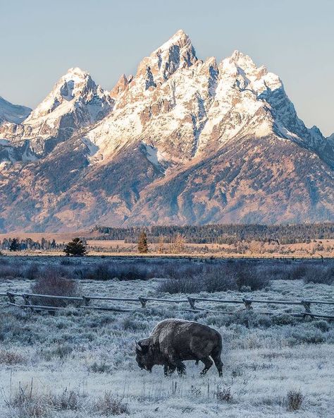 Grand Teton Wyoming Arte Peculiar, Mountain Range, Wyoming, Beautiful Landscapes, The Great Outdoors, Beautiful Nature, Landscape Photography, National Park, Nature Photography