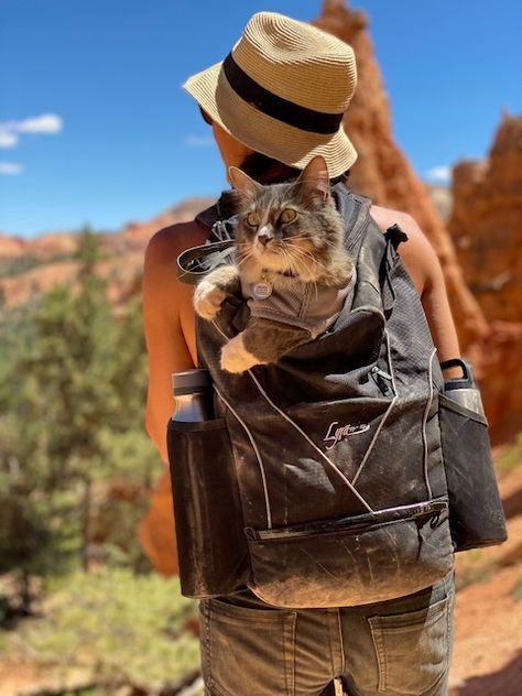 Cat In Backpack, Backpack Reference, Granola Aesthetic, Cat Backpack Carrier, Inktober 2024, Adventure Cat, Cat Things, Hiking Pack, Cat Backpack