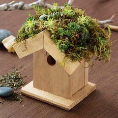 Succulent Birdhouse Succulent Birdhouse, Woodsy Cabin, Easy Gardening Hacks, Buchart Gardens, Bird Nest Craft, Olive And Cocoa, Growing Moss, Easy Gardening, Inside Garden