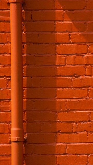 Orange Whip, Orange Brick, Board Inspiration, Orange Walls, Jaune Orange, Rainbow Aesthetic, Orange Aesthetic, Orange Wallpaper, Tangerine Orange