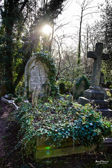 Cemeteries Photography, Highgate Cemetery, Cemetery Statues, Cemetery Headstones, Old Cemeteries, Cemetery Art, Self Control, Memento Mori, Tombstone