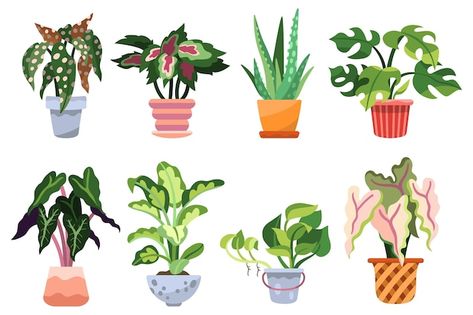 Small Indoor Plants, Vector Hand, Indoor Plant, Window Sill, Indoor Plants, House Plants, Vector Free, Vector Illustration, Arts And Crafts