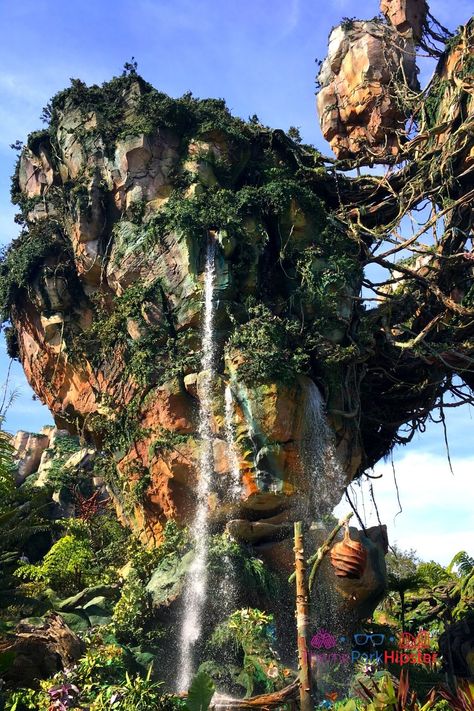 Avatar World Pandora Disney Animal Kingdom, Pandora Disney World, Animal Kingdom Rides, Disney Avatar, Avatar Disney, Disney World Tips, Disney Animal Kingdom, Dream Holidays, Fun Facts About Animals