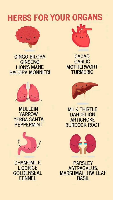 Revitalize Your Vitality: Discover the Top Herbs for Organ Health" African Holistic Health, Holistic Healing For Beginners, Organ Health, Plants Benefits, Holistic Tips, Holistic Healing Natural Treatments, Health Herbs, Oils For Sinus, Witchy Cottagecore