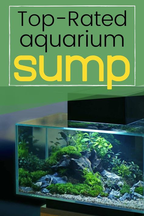 Aquarium Sump, Sump Tank, Aquarium Cabinet, Marine Tank, Otters Cute, Tank Stand, Aquaponics System, Marine Aquarium, Sump Pump