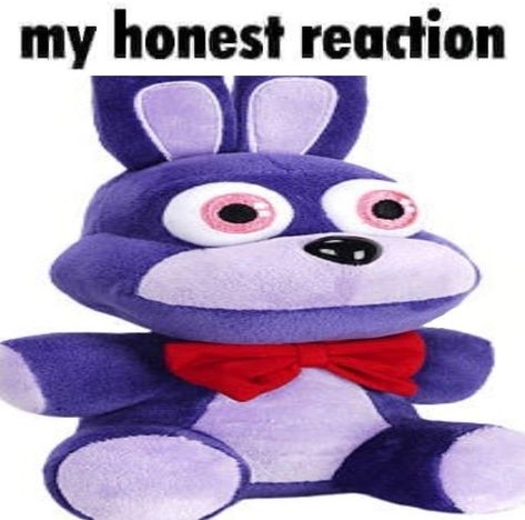 My Honest Reaction, Honest Reaction