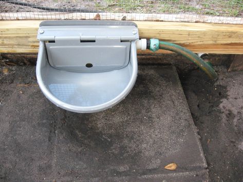 tractor supply automatic waterer Chicken Coop Automatic Waterer, Automatic Waterer For Chickens, Duck Waterer, Chicken Watering System, Chicken Waterer Diy, Automatic Chicken Door, Livestock Barn, Livestock Shelter, Automatic Waterer