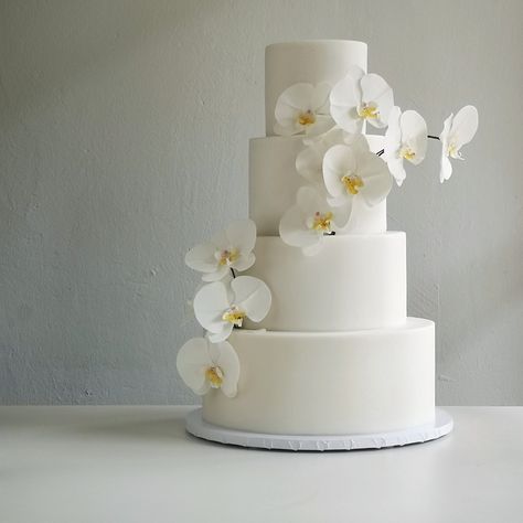 Simple yet elegant wedding cake with nothing more than hand-made sugar phalaeonopsis orchids. Cake With Orchids, Orchid Wedding Theme, Orchid Wedding Invitations, Orchid Wedding Cake, Orchid Cake, Dream Wedding Cake, Romantic Wedding Cake, Moth Orchid, Orchid Wedding