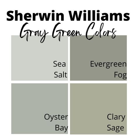 Sherwin WIlliams gray green paint colors: sea salt, evergreen fog, oyster bay, and clary sage. Sw Green Gray Paint Colors, Light Gray Green Exterior Paint Colors, Sherwin Williams Gray Green Exterior, Soft Green Paint Colors Sherwin Williams, Sherwin Williams Best Greens, Neutral Green Paint Colors Sherwin Williams, Sherwin Williams Gray Green Paint Colors, Best Grey Green Paint Colors, Greyish Green Paint