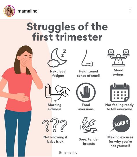 First Trimester Pregnancy Tips, 1st Trimester Pregnancy, First Trimester Pregnancy, Pregnancy Chart, Pregnancy Facts, Pregnancy Announcement To Parents, Pregnancy Timeline, Pregnancy Help, First Time Pregnancy