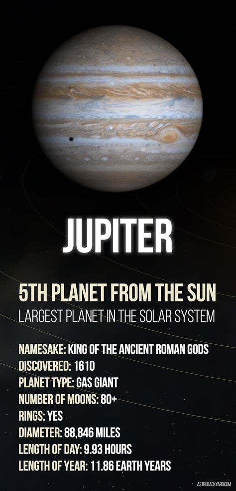 Facts about Jupiter Jupiter Planet Project For Kids, Facts About Jupiter, Planets Project, Science Dictionary, Jupiter Facts, Planets Quote, Space Theme Classroom, Eight Planets, Planet Project