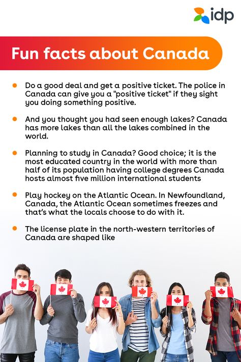 Fun Facts About Canada, Facts About Canada, Canadian Things, Canadian Universities, Study In Canada, Canadian Culture, Vancouver Travel, Eagle Wallpaper, Knowledge Facts