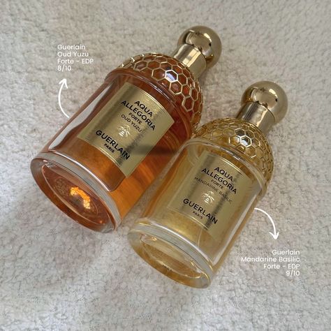 Guerlain Favourites 🐝🍯 #Beauty #Fashion #Guerlain #MakeUp #SkinCare #Parfum #Perfume #Beauty #Luxury #Fragrance #GuerlainLover #GuerlainParis #Love Guerlain Perfume, Guerlain Makeup, Luxury Fragrance, Makeup Skincare, Perfume Collection, Beauty Fashion, Basil, Fragrance, Paris