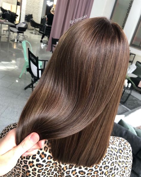 Chesnutt Brown Color Hair Straight, Glossy Brown Hair, Hair Color Brown Chestnut, Hair Smoothening, Chestnut Brown Hair, Windows To The Soul, Hair Colouring, Chestnut Hair, Chestnut Hair Color