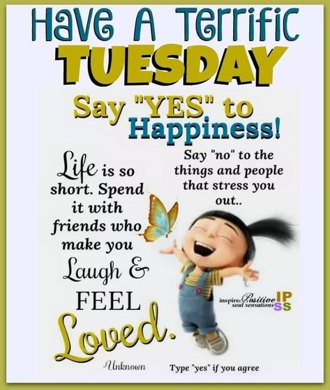 Terrific Tuesday: Say Yes To Happiness Terrific Tuesday Quotes, Monday Musings, Tuesday Pictures, Happy Tuesday Morning, Tuesday Quotes Good Morning, Tuesday Greetings, Terrific Tuesday, Tuesday Blessings, Blessing Quotes