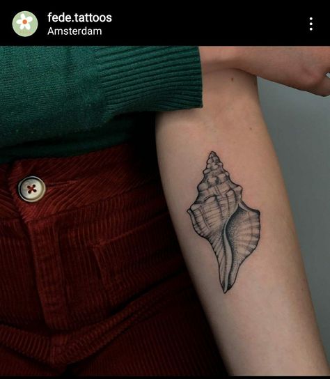 Horse Conch Shell Tattoo, Conch Tattoo, Tattoo Shell, Conch Shell Tattoo, Artist Thoughts, Anemone Tattoo, Seashell Tattoo, Shell Tattoo, Starfish Tattoo