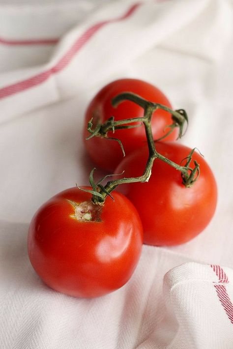 Bread Salad, Tomato Garden, Natural Form, Growing Tomatoes, Tomato Recipes, Raw Food, Fresh Tomatoes, Natural Forms, Italian Food