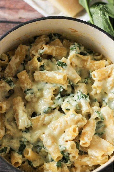 Rigatoni Noodles covered with melty cheese and spinach Ricotta Cheese Recipes Pasta, Spinach Ricotta Pasta, Ricotta Cheese Recipes, Cheese Pasta Recipes, Ricotta Recipes, Spinach Ricotta, Ricotta Pasta, Recipes Pasta, Rigatoni