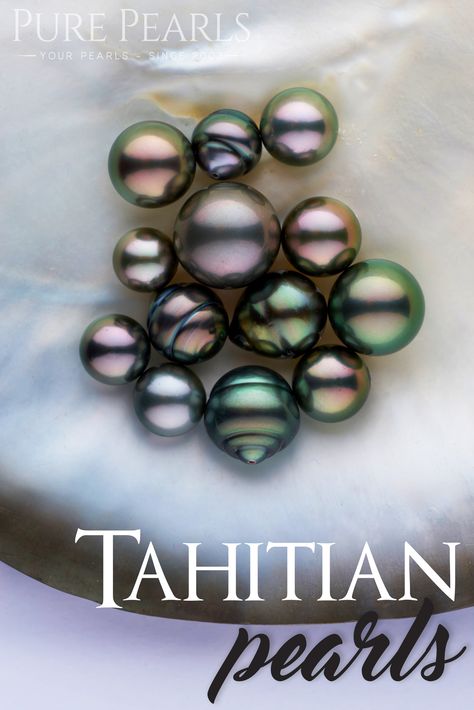 Gwendolyn Brooks, Jewelry School, Tahitian Pearls Jewelry, Buy Pearls, Black Pearls, Color Guide, School Jewelry, Weekly Newsletter, Baby Jewelry