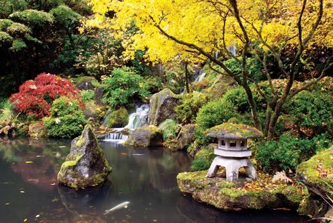 Top 12 Public Gardens | You don't have to know a zinnia from zoysia to be wowed by the these dazzling gardens Portland Japanese Garden, Washington Park, Japanese Garden, A Garden, Portland, Washington, Trees, Yellow