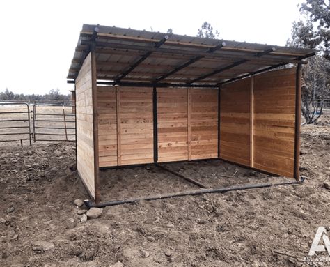 Portable Horse Shelter, Horse Loafing Shed, Horse Shelter Ideas Cheap, Horse Shelter Plans, Diy Horse Shelter, Cow Shelter, Cattle Fencing, Horse Shelters, Donkey Care