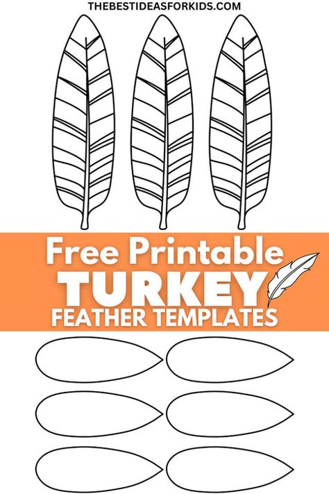 Free Printable Turkey Feather Template Feather Template Printable Free Pattern, Turkey Feather Template Free Printable, Turkey Feather Pattern Printable, Turkey Feather Activities Preschool, Feather Shape Template, Printable Turkey Feathers, Turkey Crafts Preschool, Feather Art Projects, Feather Outline